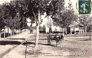 NAZEREG 